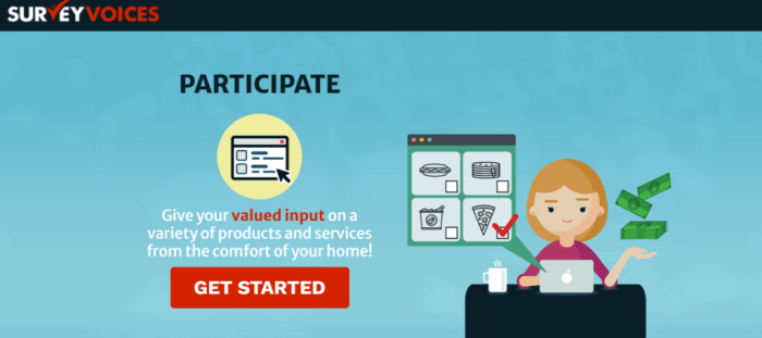 High-paying survey websites